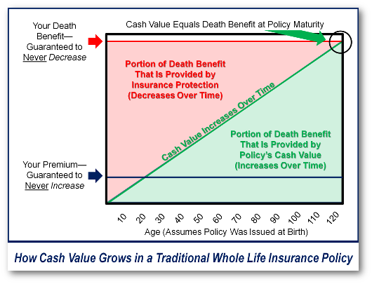 How Cash Value Grows in a Traditional Whole Life Insurance Policy